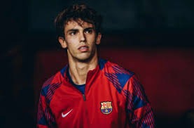 艾顿终暴走！末节统治内线，雷迪克发布会持续称赞，亲承设计战术